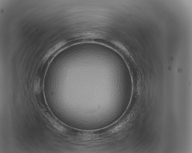 X0000085250873200703091255