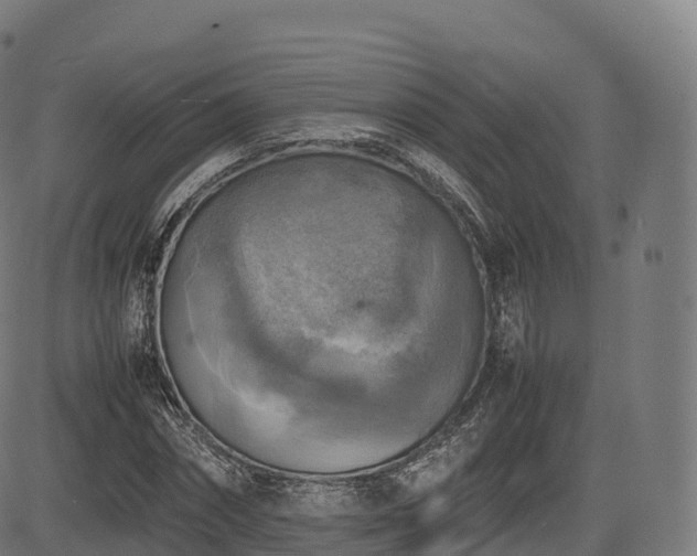 X0000085250874200703091255