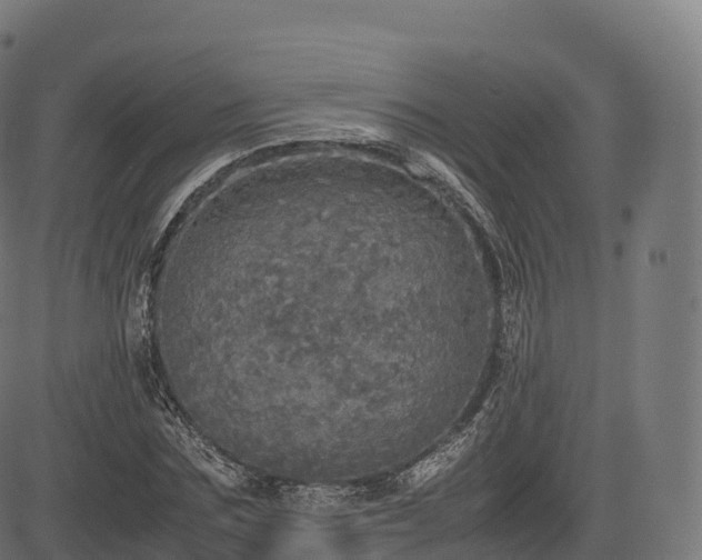 X0000085250875200703091255