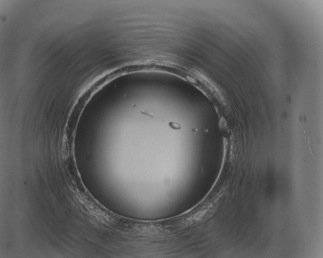 X0000085250876200703091255