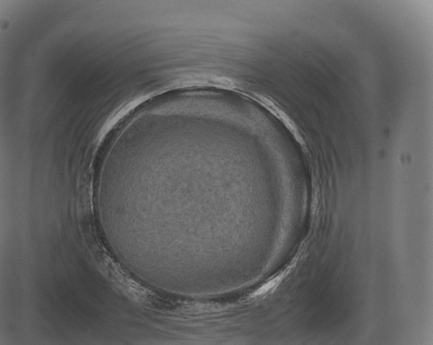 X0000085250877200703091255