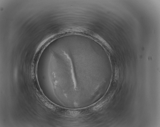 X0000085250878200703091255