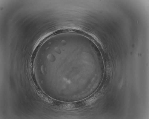 X0000085250879200703091255