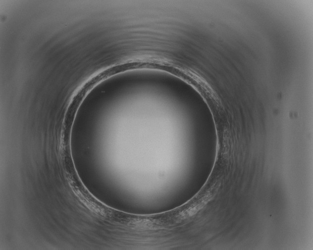 X0000085250880200703091255