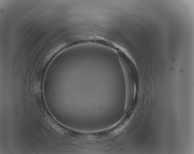 X0000085250881200703091255