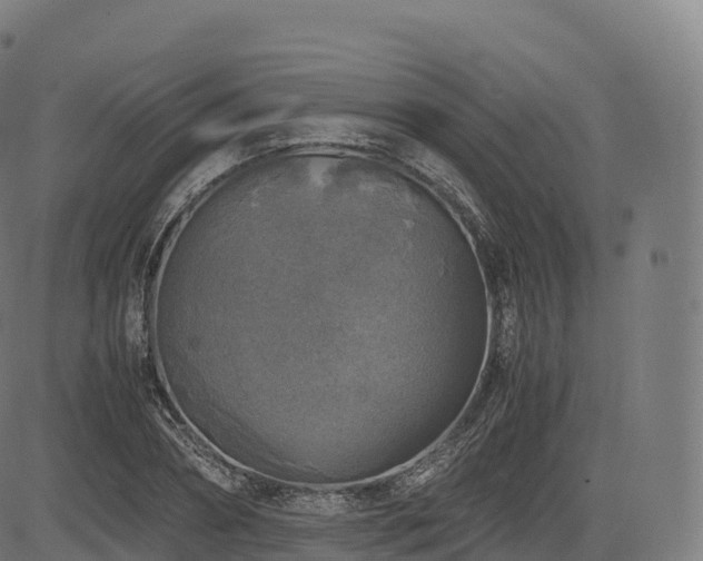 X0000085250882200703091255