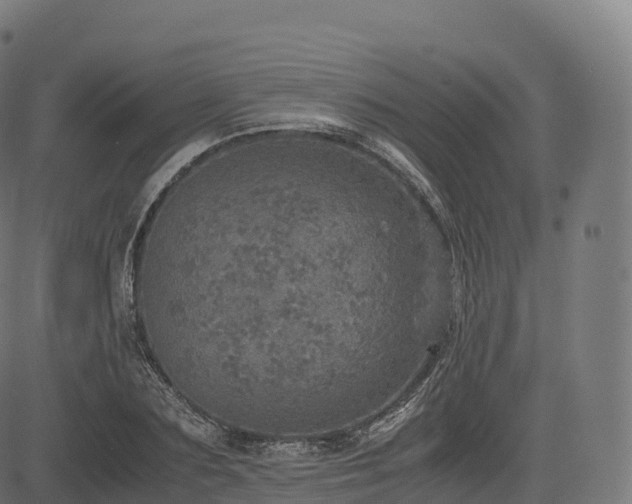 X0000085250883200703091255