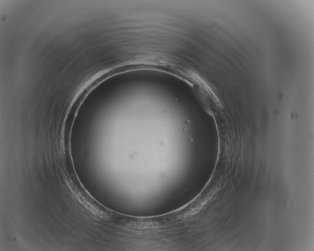 X0000085250884200703091255