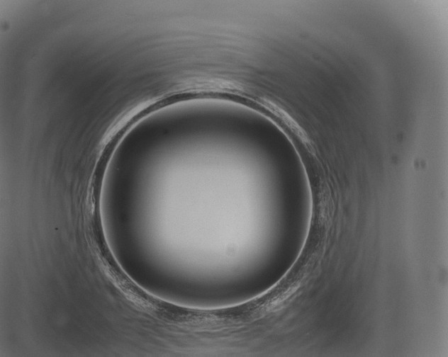 X0000085250885200703091255