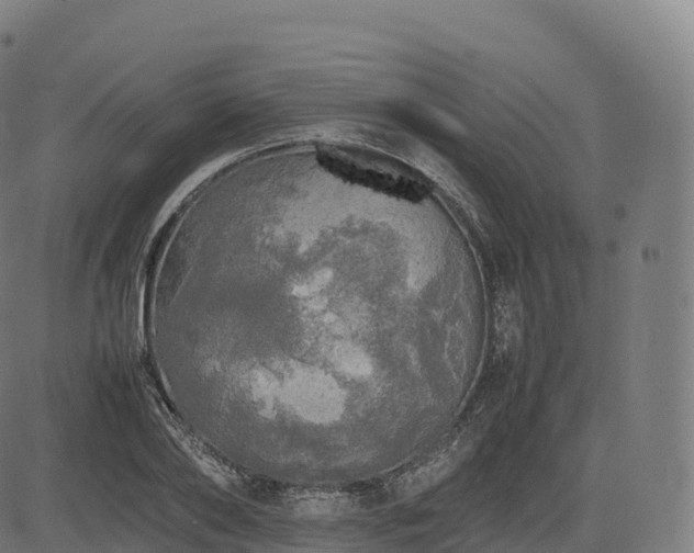 X0000085250886200703091255