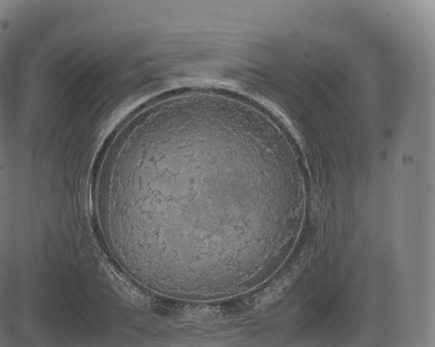 X0000085250887200703091255