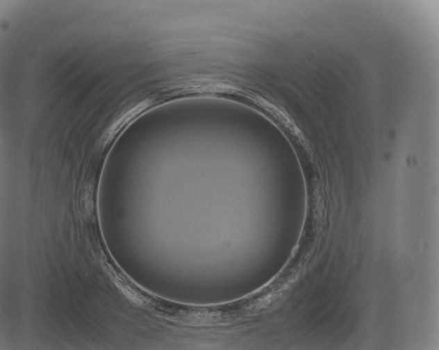 X0000085250889200703091255