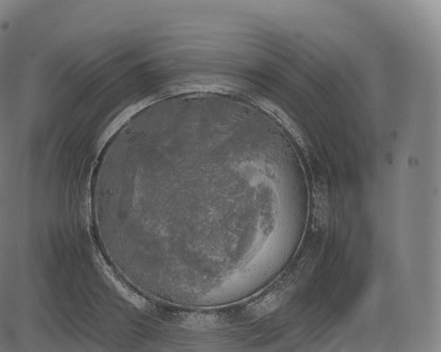 X0000085250890200703091255