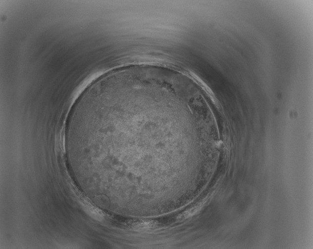 X0000085250891200703091255