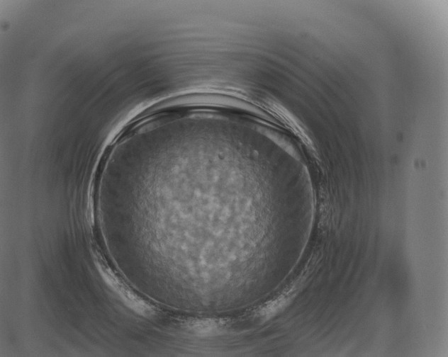 X0000085250892200703091255