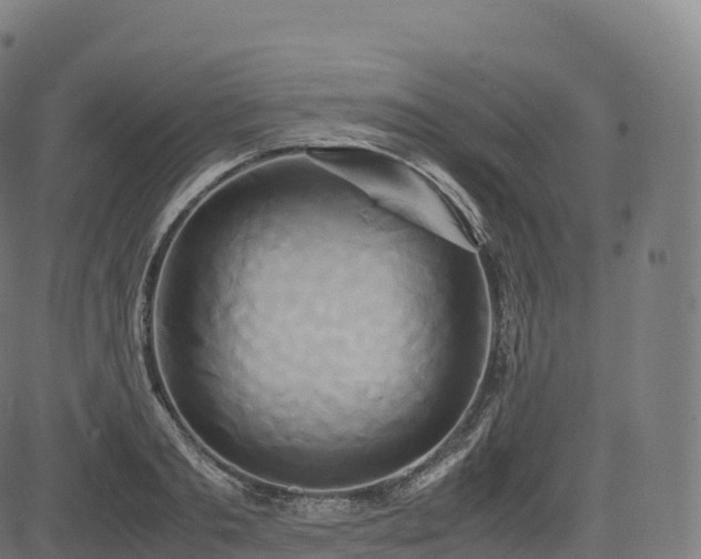 X0000085250893200703091255