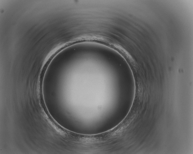 X0000085250894200703091255