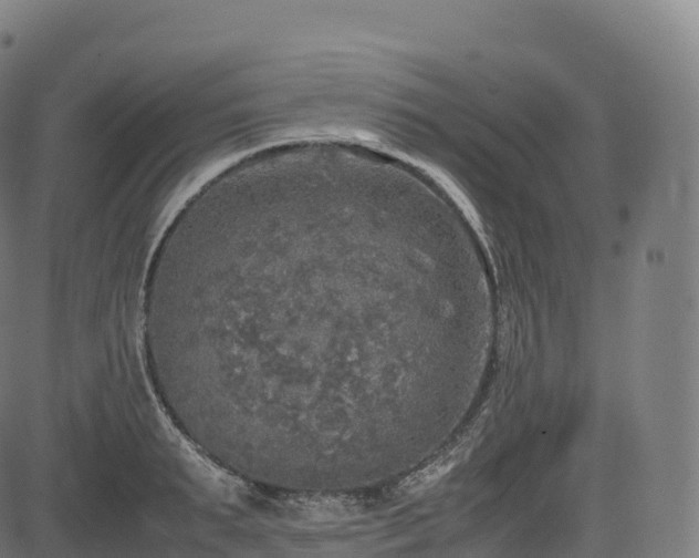 X0000085250895200703091255