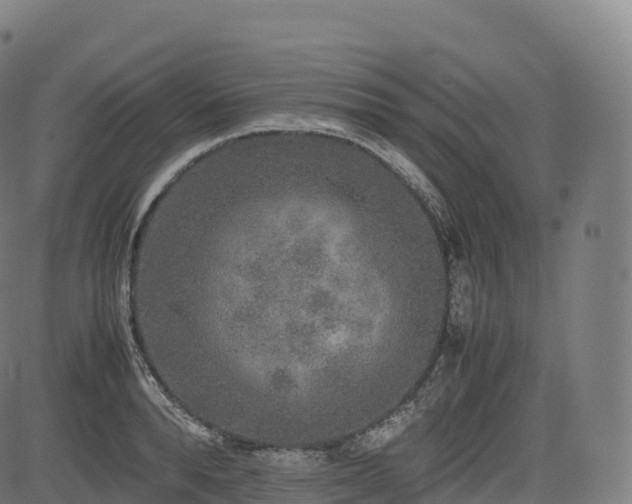 X0000085250896200703091255