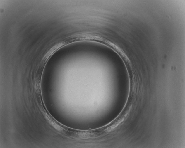 X0000085250897200703091255