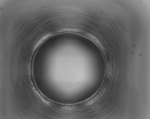 X0000085250898200703091255