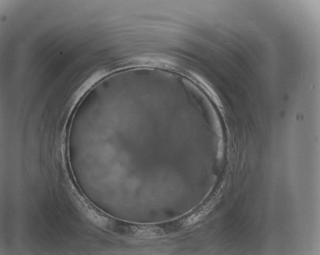 X0000085250899200703091255