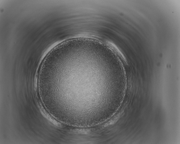 X0000085250900200703091255