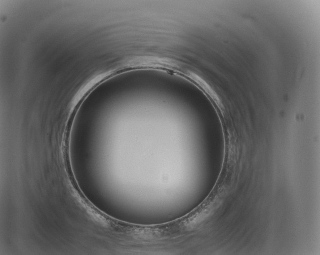 X0000085250901200703091255