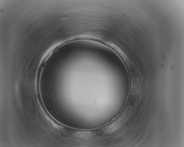 X0000085250902200703091255