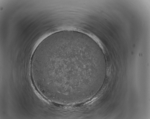 X0000085250903200703091255