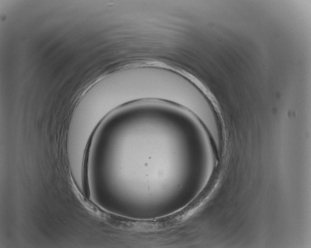 X0000085250905200703091255