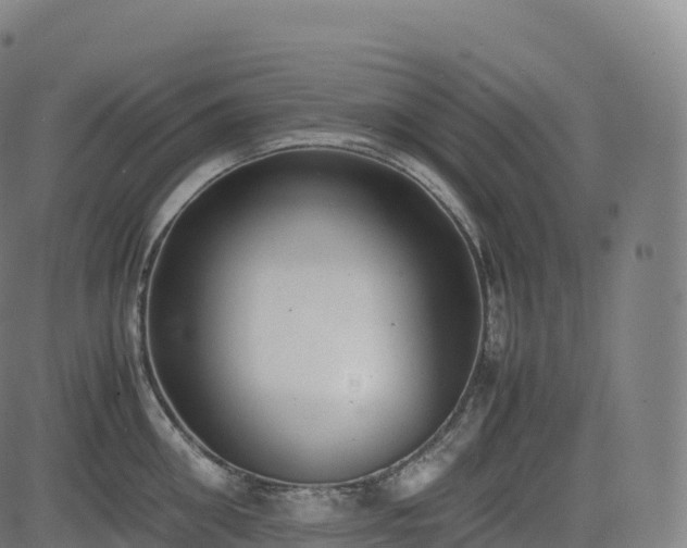 X0000085250906200703091255