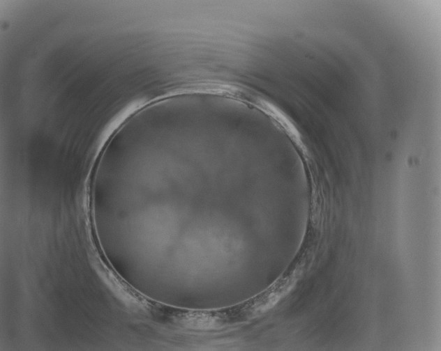 X0000085250907200703091255