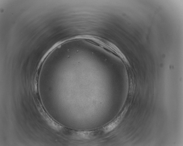 X0000085250908200703091255