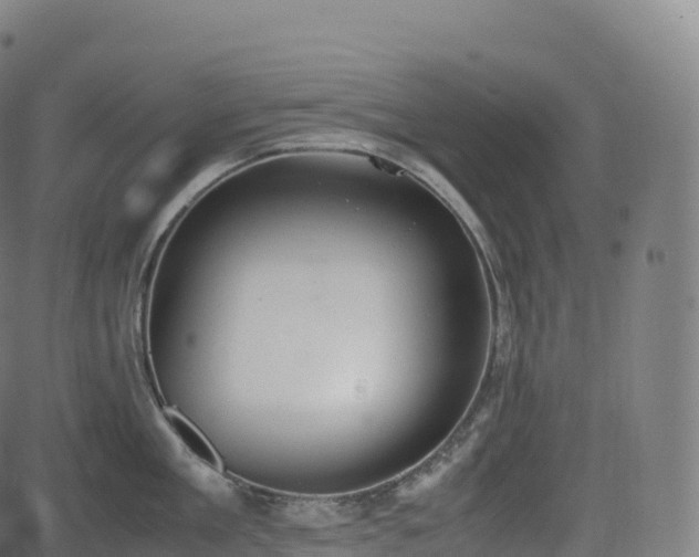 X0000085250909200703091255