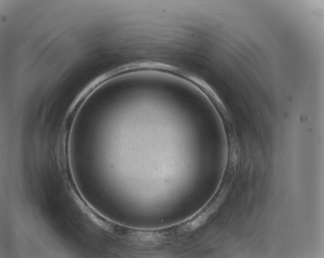 X0000085250910200703091255