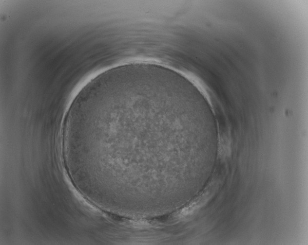 X0000085250911200703091255