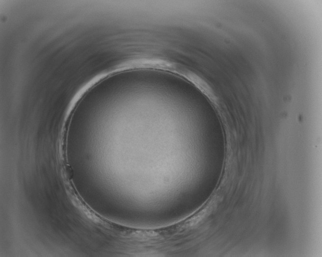 X0000085250912200703091255