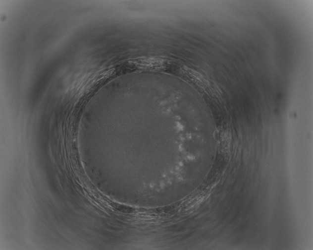 X0000085250913200703091254