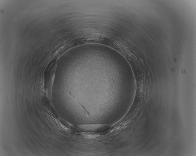 X0000085250916200703091254