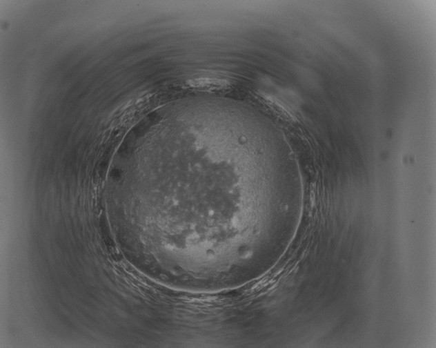 X0000085250917200703091254