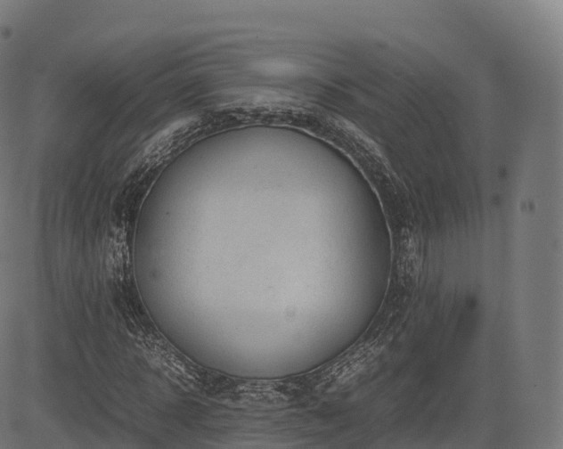 X0000085250918200703091254