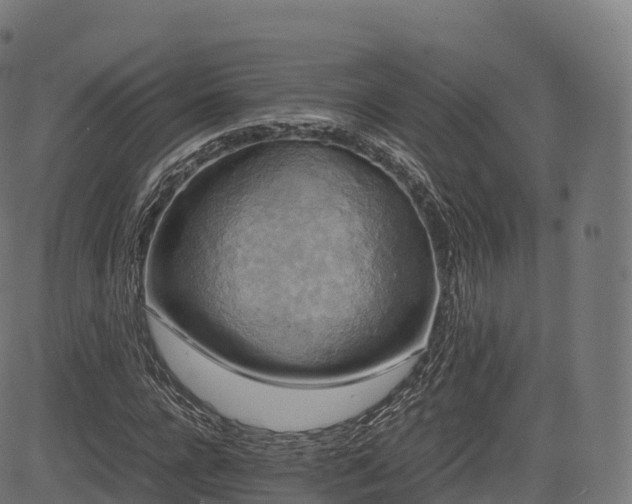 X0000085250920200703091254