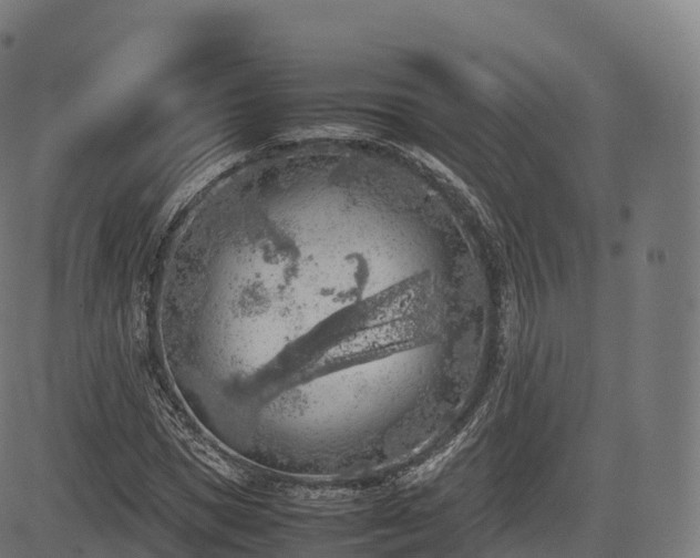 X0000085250921200703091254