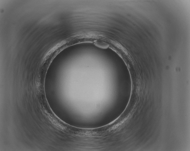 X0000085250922200703091254