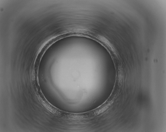 X0000085250924200703091254