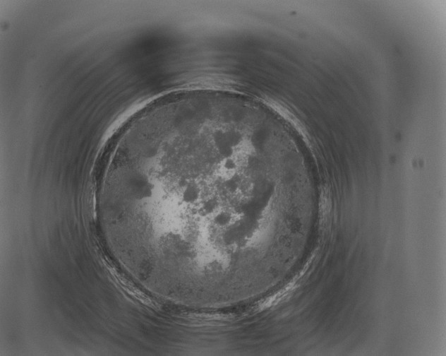 X0000085250925200703091254