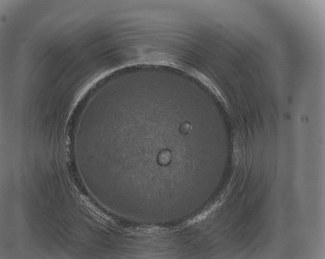 X0000085250926200703091254