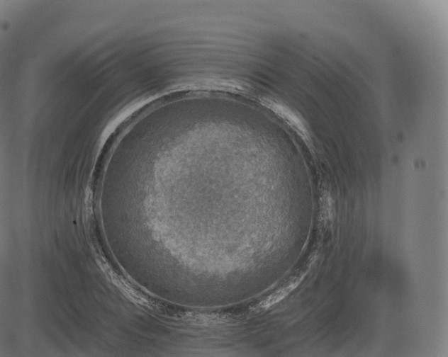 X0000085250928200703091254