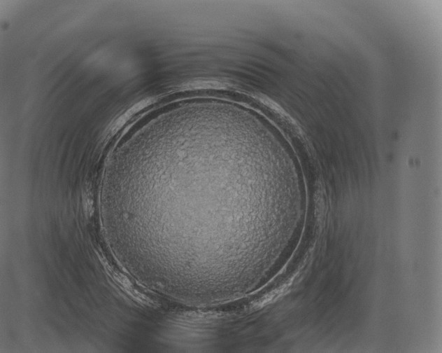 X0000085250929200703091254